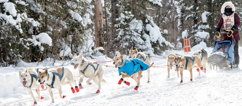 Gear Up For Outdoors supports Julia Cross racing the Junior Iditarod