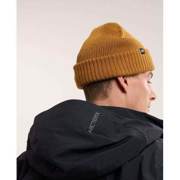 Arc'teryx Mallow Toque,UNISEXHEADWEARTOQUES,ARCTERYX,Gear Up For Outdoors,