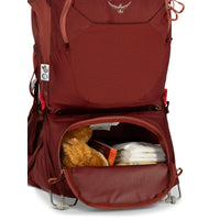 Osprey Unisex Poco LT Child Carrier Updated,EQUIPMENTPACKSKIDS,OSPREY PACKS,Gear Up For Outdoors,