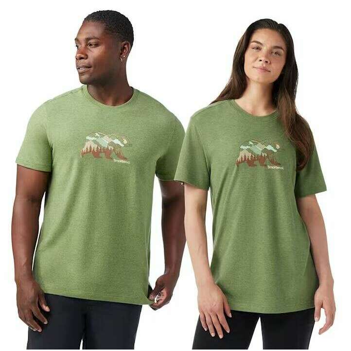 Smartwool Mens Bear View SS Graphic Tee,MENSSHIRTSSS TEE PNT,SMARTWOOL,Gear Up For Outdoors,
