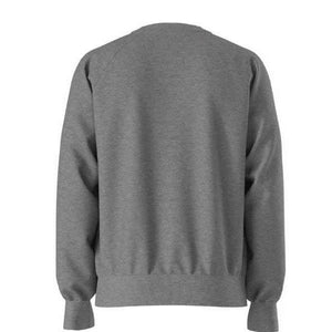The North Face Mens Evolution Crew,MENSMIDLAYERSPULLOVERS,THE NORTH FACE,Gear Up For Outdoors,